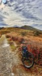 IMG_5990.jpeg