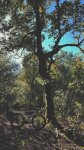 IMG_7018.jpeg