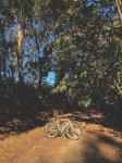 IMG_7013.jpeg
