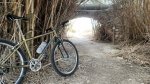 IMG_3954.jpeg