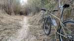 IMG_3946.jpeg