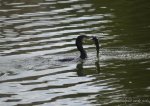 DSC_4889.JPG