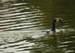 DSC_4890.JPG
