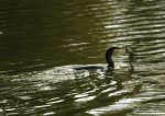 DSC_4893.JPG