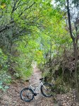 IMG_7106.jpeg