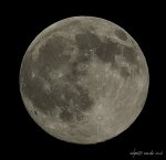 DSC_5007-2.JPG