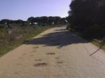 05012008373 chioca.JPG