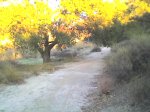 PaReCe OtOÃ±O.jpg