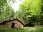 DSC01204.JPG