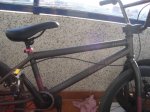 DSC00706.JPG