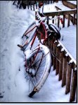bicycle12nevada.JPG