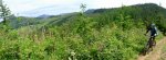 Pano_5 (Medium).jpg