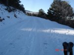 DSC06910M.jpg
