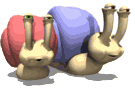 caracol.gif
