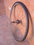 DSCF0840_redimensionar.JPG