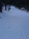 DSC03676.JPG
