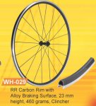 Gigantex cubierta.JPG