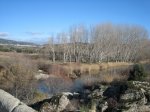 IMG_2659.jpg