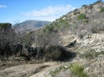 IMG_2661.jpg