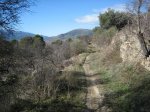 IMG_2664.jpg