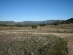 IMG_2672.jpg