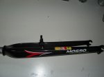moso1.JPG
