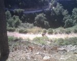 IMG00077 [Resolucion de Escritorio].jpg