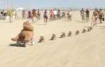 018_pics.jpg
