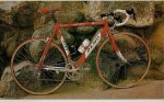 olmo.jpg