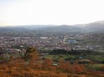 IMG_4422.JPG