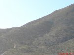 DSC00397.JPG