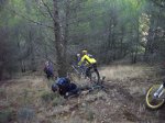 IMG_6274_redimensionar.JPG