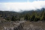 _MG_5092.jpg