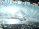 DSC00067.JPG