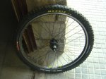 DSC07830.JPG