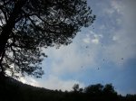 DSCN3844.jpg