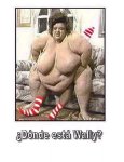 wally.jpg