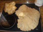 DSC01103.JPG