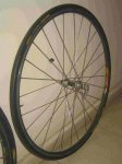 IMG_5744.JPG rueda del. foto-21.JPG