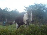 DSC00074.JPG