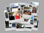 collage.jpg