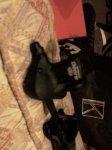 IMAG0058.jpg