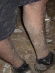 2008-01-13 Castellar-Jimena 018.JPG