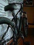 bici11.JPG