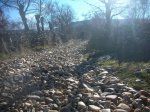 DSCN3532.JPG