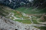 agnello1.jpg