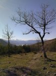 Foto0081.jpg
