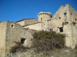 cinglers berti 19-1-08017.jpg