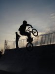 fakie tiregrab.JPG
