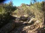 DSCN3564.JPG